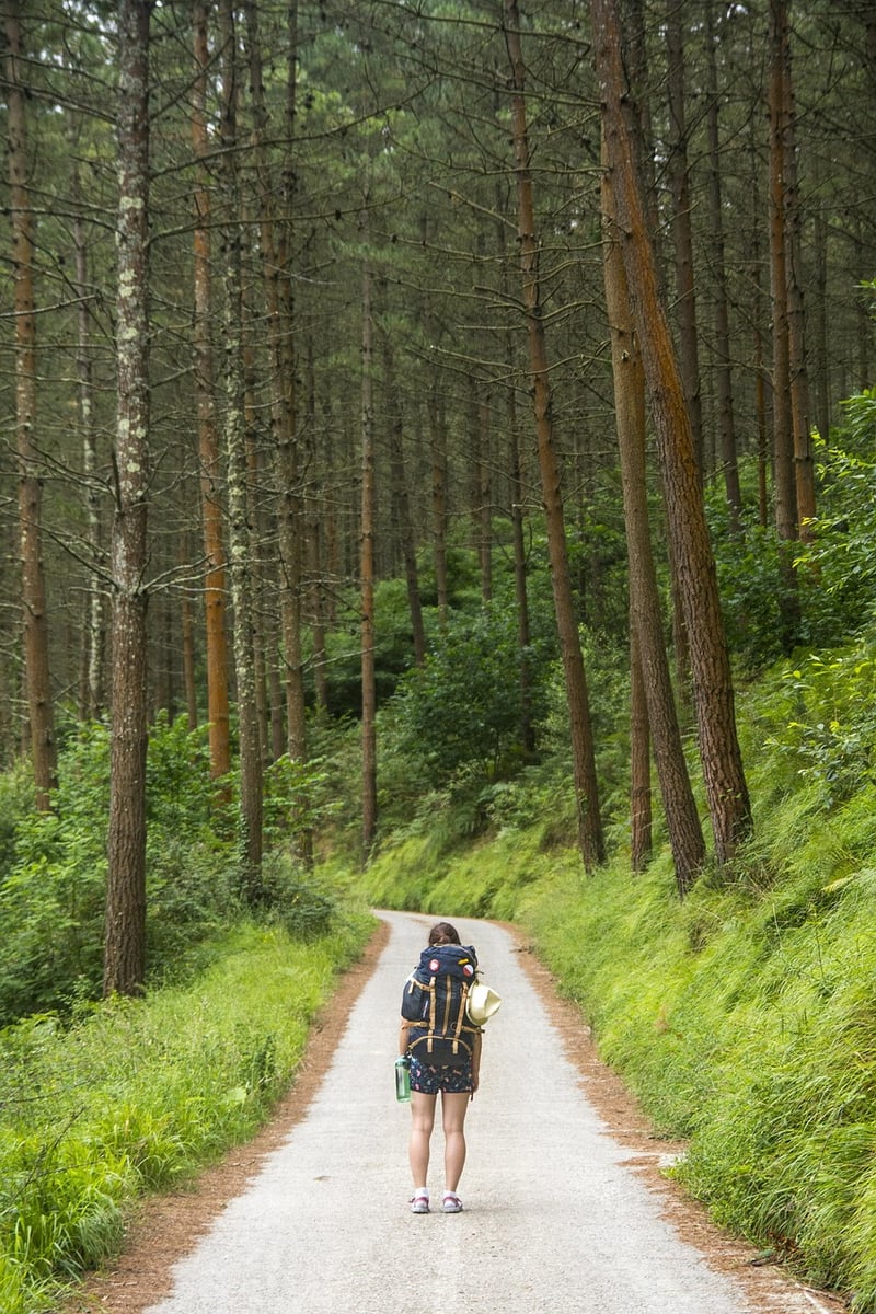 Mindful Movement in Nature